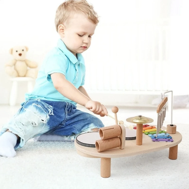 kids wooden toy instrument review 